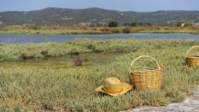 Bodrum’da doğadan sofraya