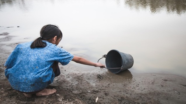 Doğanın Kalbi: Su ve Ormanların Yaşam İçin Önemi