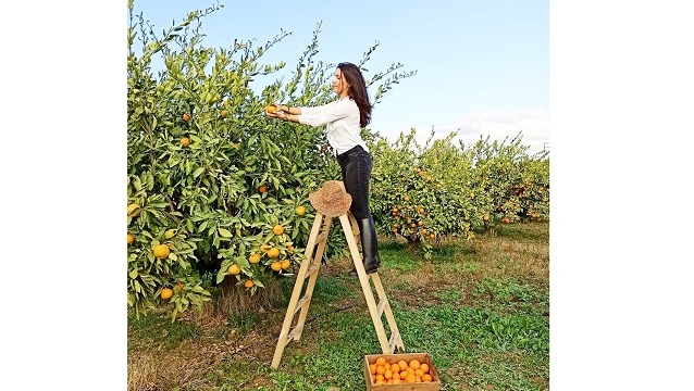 ‘En İyi Mandalina Yarışması’nda 1.’lik Ödülü, ‘THE 7’nin Oldu!