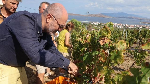 Marmara’dan yükselen bir tat rotası: Avşa Adası ve Ada Karası
