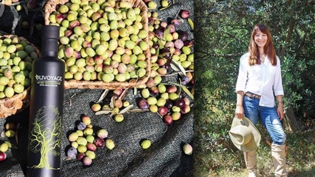 Oya Zingal ile bir zeytin yolculuğu