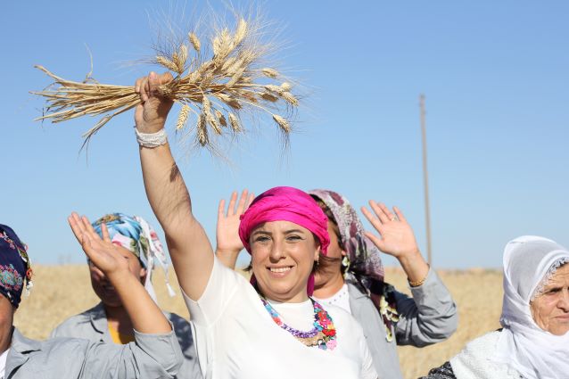 Türkiye’nin ‘Küresel Gıda Kahramanı’