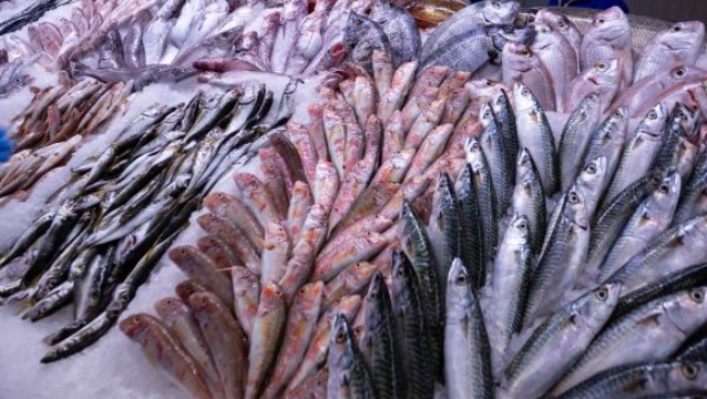 Yeni sezonda sofralar, Metro Türkiye’nin taptaze balıklarıyla lezzetleniyor